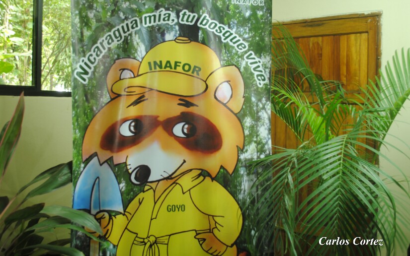 arbol2